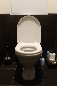 toilet-663707_1280